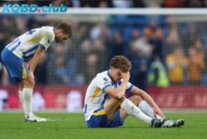 Dự đoán đội hình của Wolverhampton Wanderers vs Brighton & Hove Albion