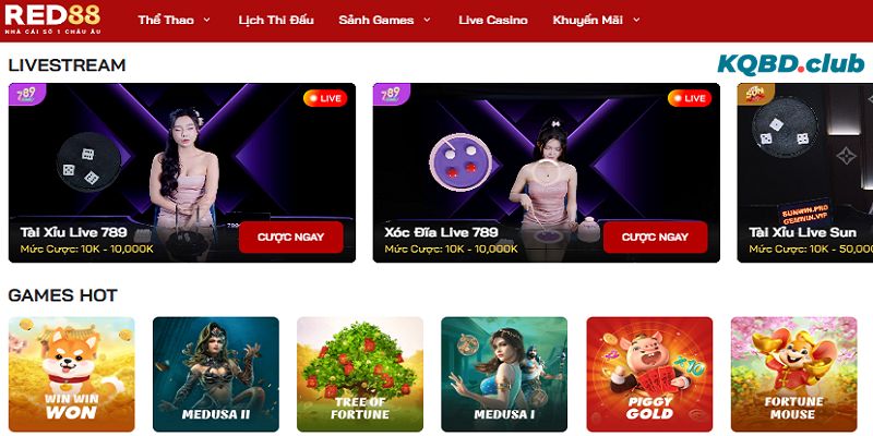 Nhà cái không ngừng hoàn thiện và nâng cao chất lượng dịch vụ