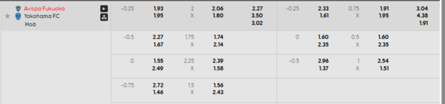 doi-hinh-du-kien-truoc-tran-avispa-fukuoka-vs-yokohama-fc