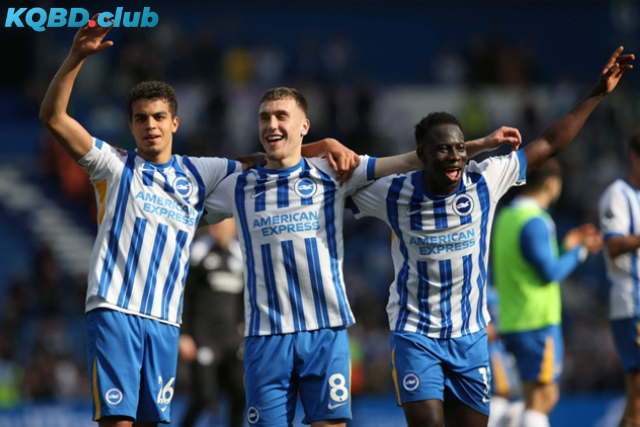 Đội hình dự kiến trận Brighton & Hove Albion vs Leeds United
