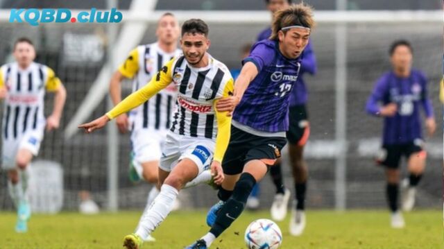 Đội hình dự kiến trước trận Avispa Fukuoka vs Yokohama FC