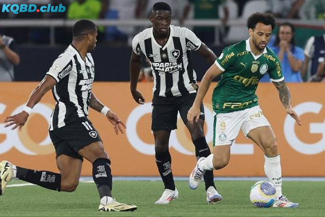 Đội hình dự kiến trước trận Flamengo RJ vs Palmeiras