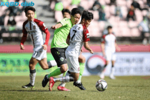 Đội hình dự kiến trước trận Jeonbuk vs Suwon FC