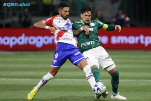 Đội hình dự kiến trước trận Palmeiras vs Cruzeiro