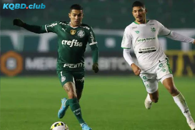 Đội hình dự kiến trước trận Palmeiras vs Juventude