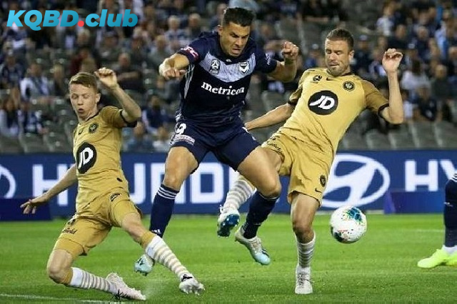 Đội hình dự kiến trước trận WS Wanderers vs Melbourne City