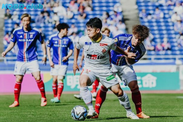 Đội hình dự kiến trước trận Yokohama FC vs Nagoya Grampus