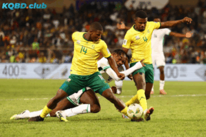 Đội hình dự kiến trước trận Zimbabwe vs Nam Phi